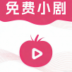 高德地图下载导航2025安卓版